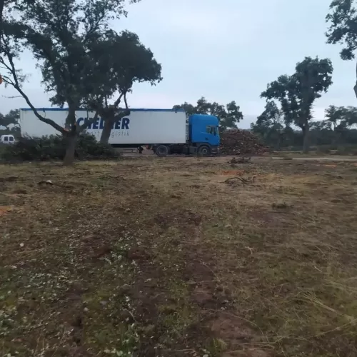 Diseño de jardines en Palencia