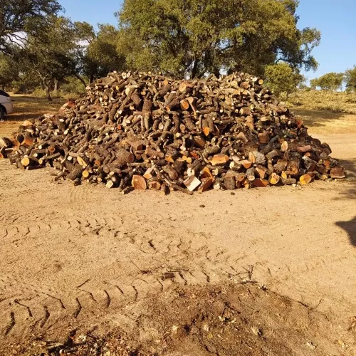 Jardineros expertos en Palencia y alrededores