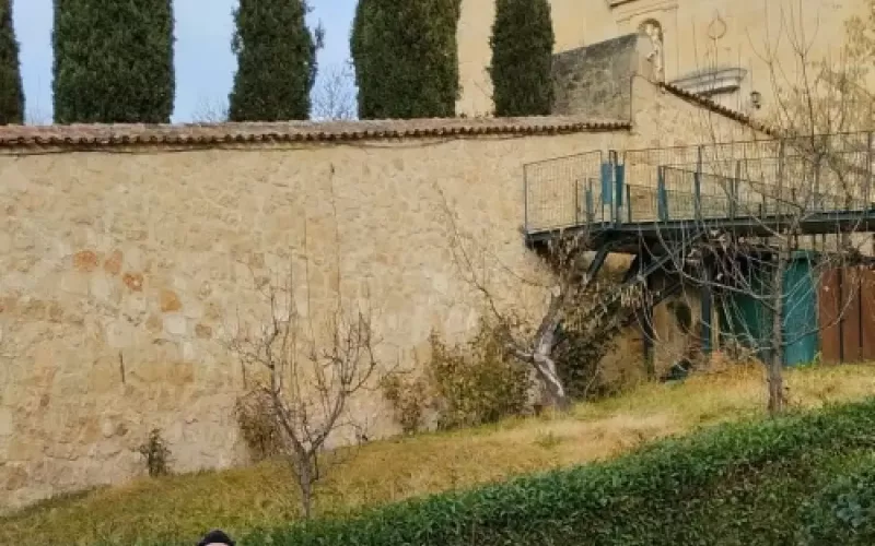 cuidados del jardin