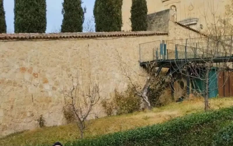 Expertos jardineros en Palencia