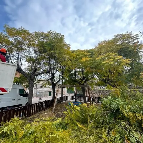Creación de jardines personalizados en Palencia