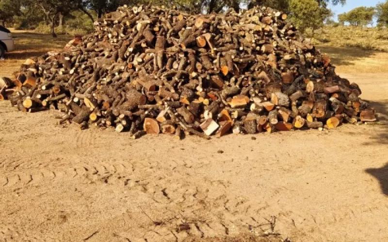 Jardineros expertos en Palencia y alrededores