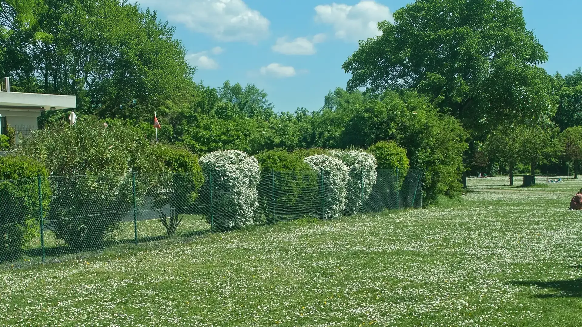 Desbroce de parcelas y terrenos