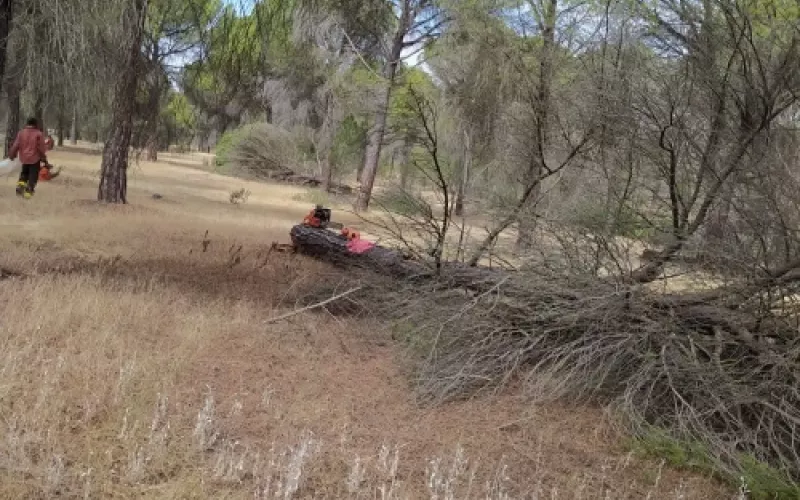 Jardines sostenibles en Palencia