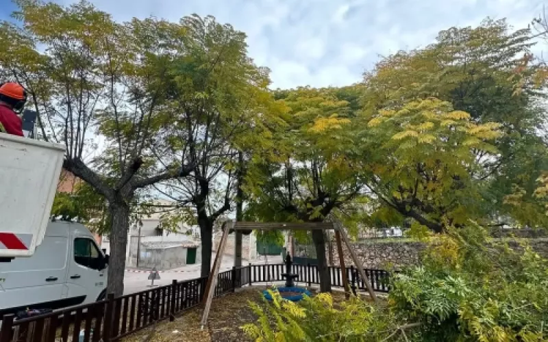 Creación de jardines personalizados en Palencia