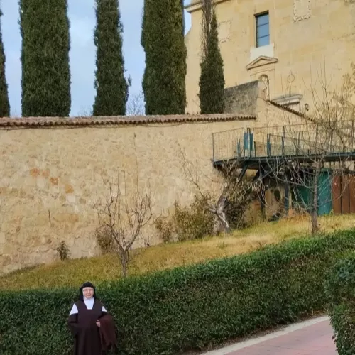 Expertos jardineros en Palencia