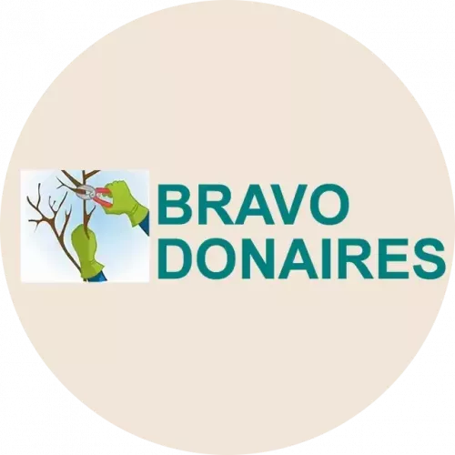 EXPERTOS EN PODAS EN ALTURA