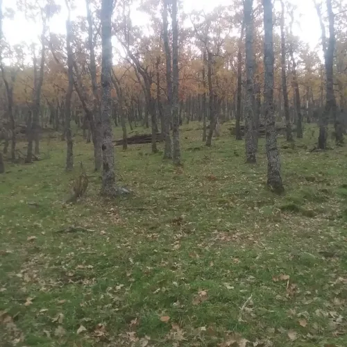 Paisajismo y diseño de jardines en Palencia