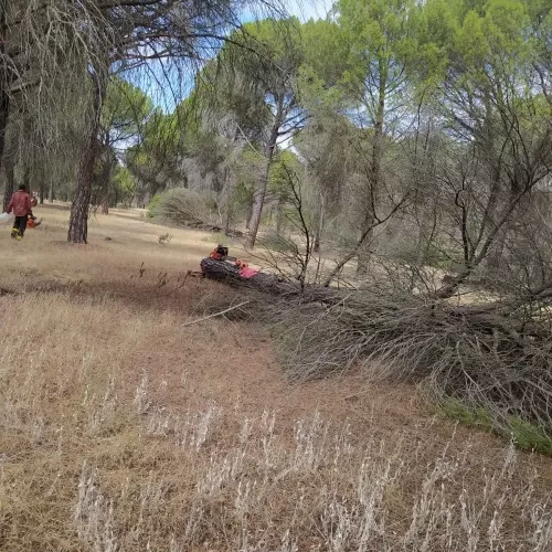 Jardines sostenibles en Palencia