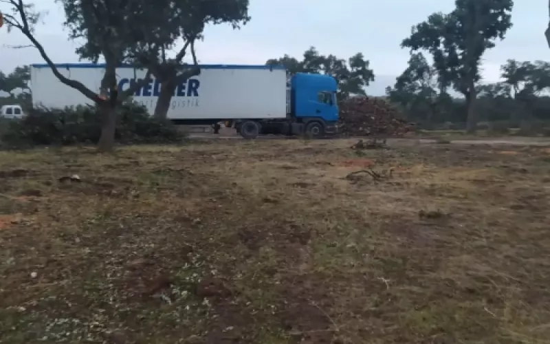 Diseño de jardines en Palencia