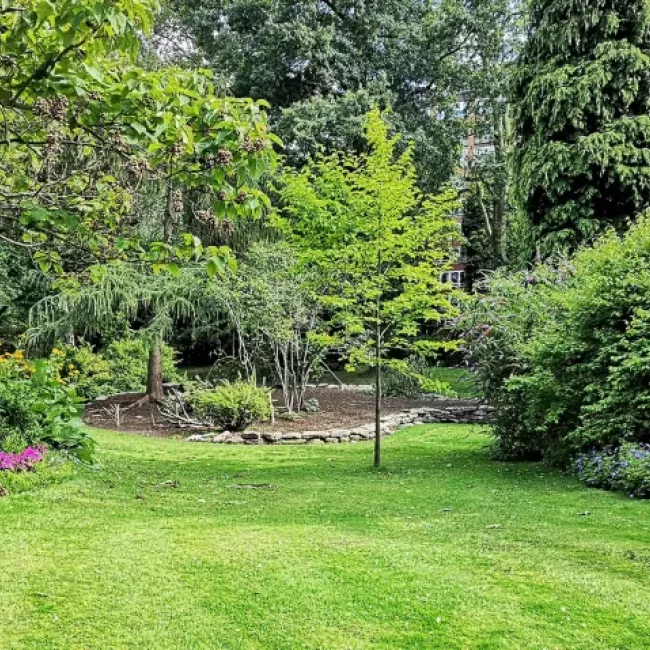 Mantenimiento de jardines