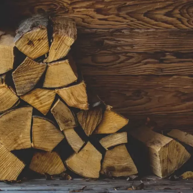 Corte de leña