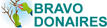 Eduardo Bravo